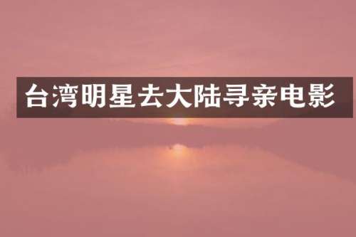 台湾明星去大陆寻亲电影