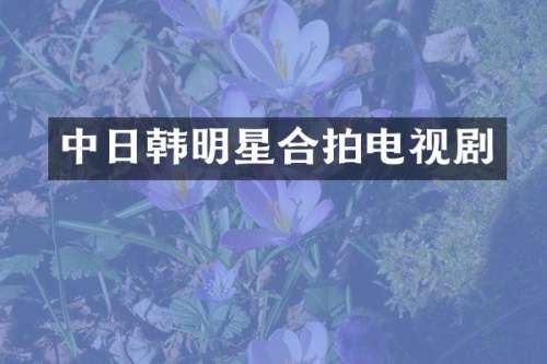 中日韩明星合拍电视剧