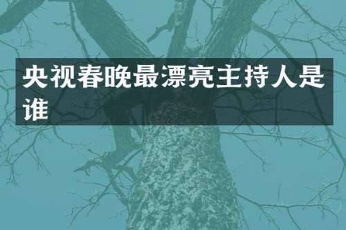 央视最漂亮主持人是谁