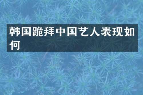 韩国跪拜中国艺人表现如何