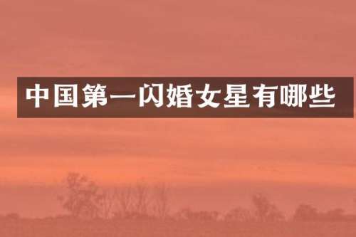 中国第一闪婚女星有哪些