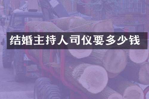结婚主持人司仪要多少钱