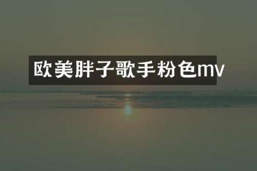 欧美胖子歌手粉色mv