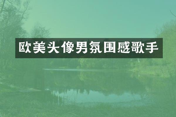 欧美头像男氛围感歌手