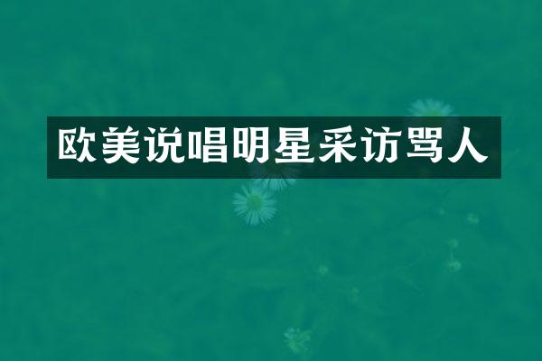 欧美说唱明星采访骂人