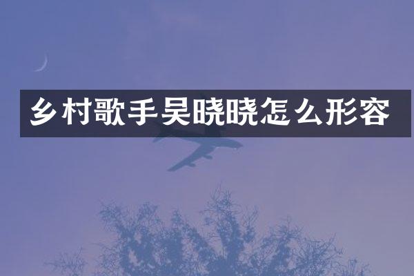 乡村歌手吴晓晓怎么形容