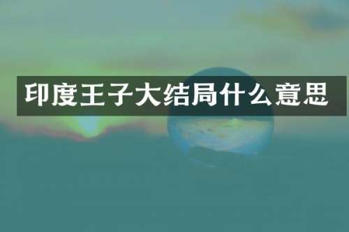 印度王子大结局什么意思