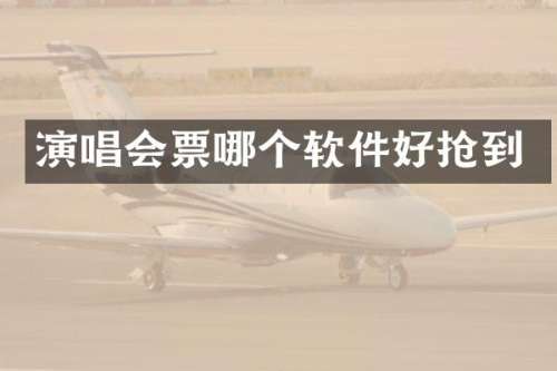 演唱会票哪个软件好抢到