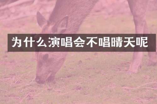 为什么演唱会不唱晴天呢