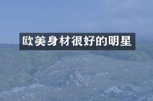 欧美身材很好的明星