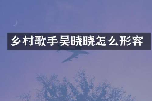 乡村歌手吴晓晓怎么形容