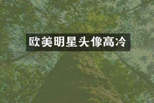 欧美明星头像高冷