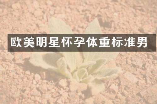 欧美明星怀孕体重标准男