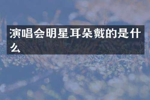 演唱会明星耳朵戴的是什么