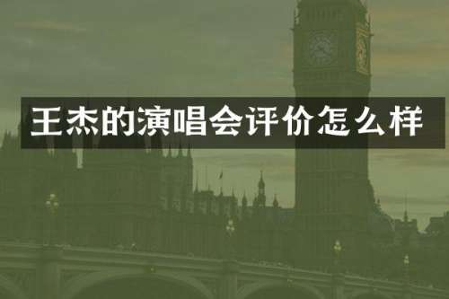 王杰的演唱会评价怎么样
