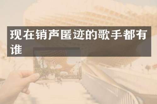 现在销声匿迹的歌手都有谁