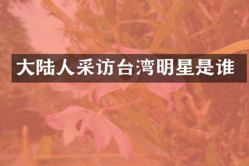 大陆人采访台湾明星是谁