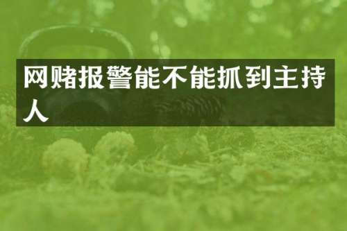 网赌报警能不能抓到主持人