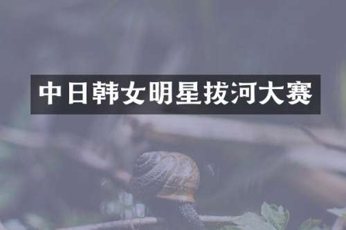 中日韩女明星拔河大赛