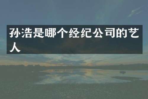 孙浩是哪个经纪公司的艺人