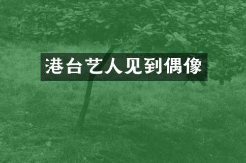 港台艺人见到偶像