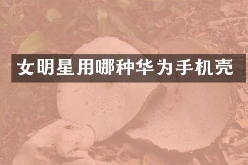 女明星用哪种华为手机壳