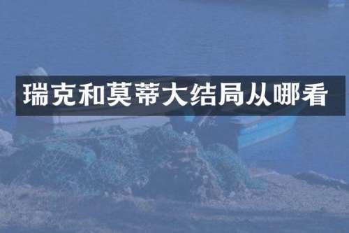 瑞克和莫蒂大结局从哪看