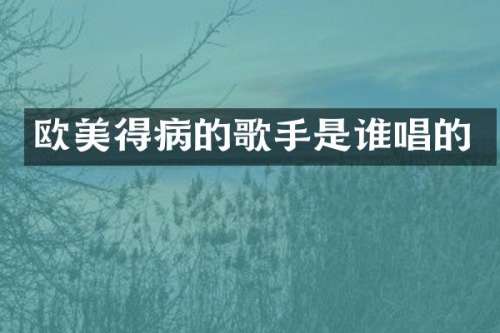 欧美得病的歌手是谁唱的