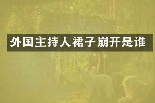 外国主持人裙子崩开是谁