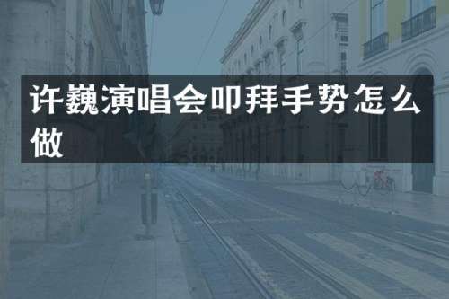 许巍演唱会叩拜手势怎么做