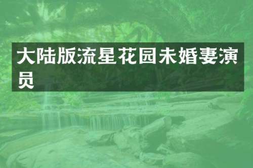 大陆版流星花园未婚妻演员