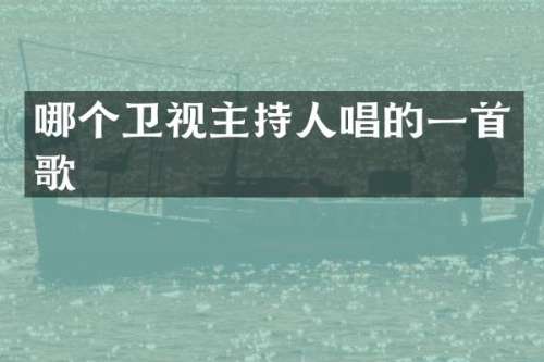 哪个卫视主持人唱的一首歌