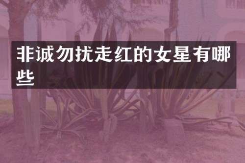 非诚勿扰走红的女星有哪些
