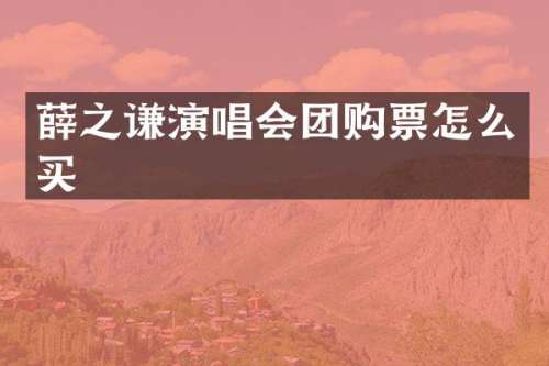 薛之谦演唱会团购票怎么买