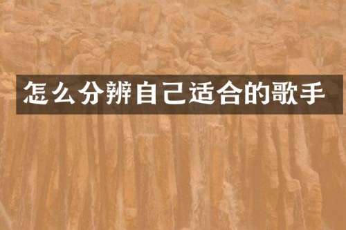 怎么分辨自己适合的歌手