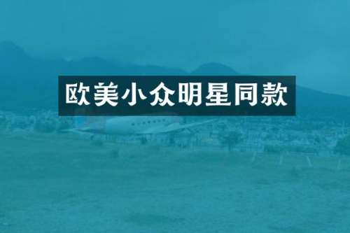 欧美小众明星同款