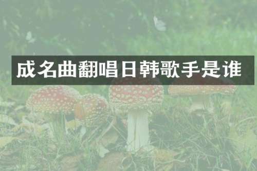 成名曲翻唱日韩歌手是谁