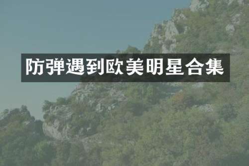 遇到欧美明星