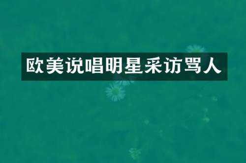 欧美说唱明星采访骂人