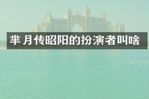 芈月传昭阳的扮演者叫啥