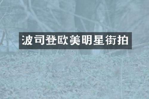 波司登欧美明星街拍