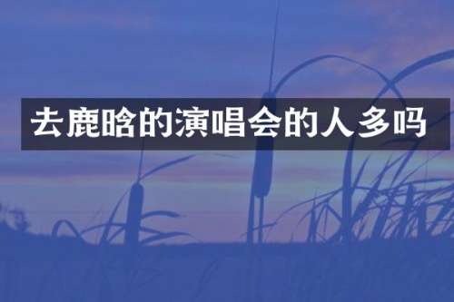 去鹿晗的演唱会的人多吗