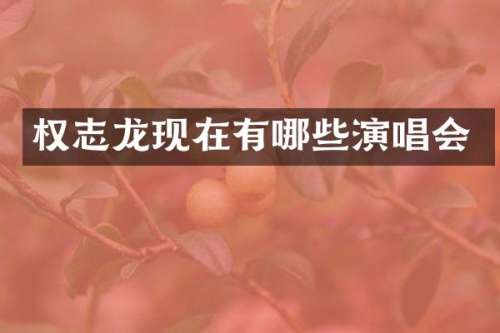 现在有哪些演唱会