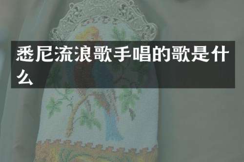 悉尼流浪歌手唱的歌是什么