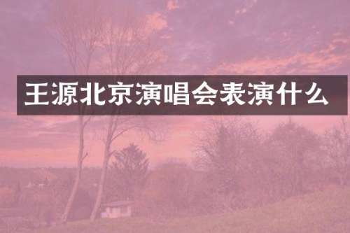 王源北京演唱会表演什么