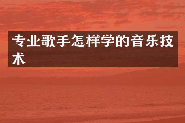 专业歌手怎样学的音乐技术