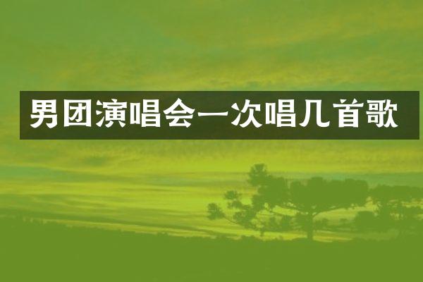 男团演唱会一次唱几首歌
