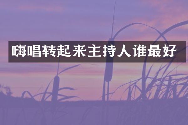 嗨唱转起来主持人谁最好