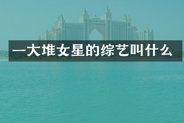 一大堆女星的综艺叫什么