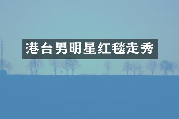港台男明星红毯走秀